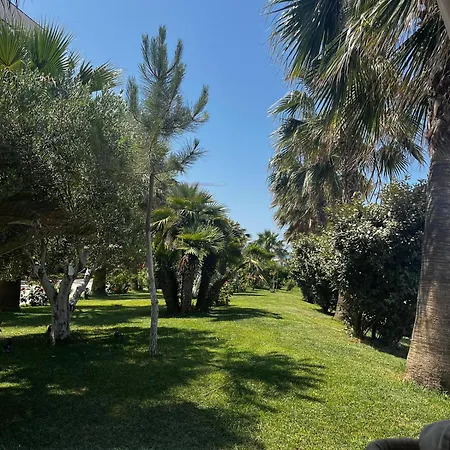 Sunflowers Lejlighed