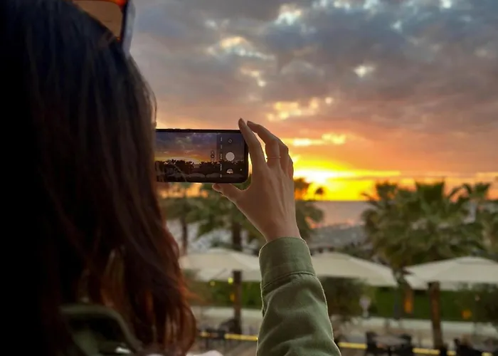 Sunflowers Lejlighed