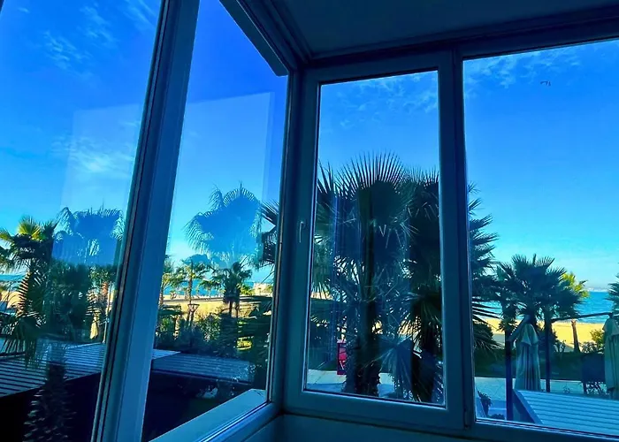 Sunflowers 格勒姆