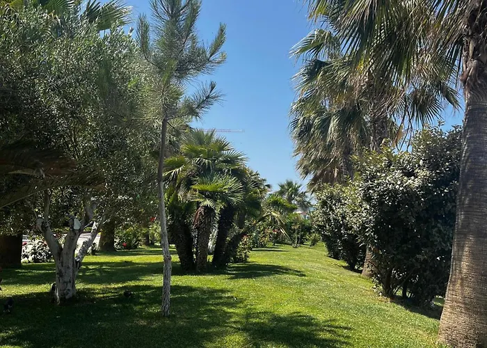 Sunflowers Lejlighed